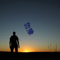 鲁豫