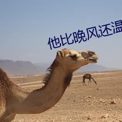 他比晚風還溫柔