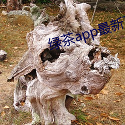 绿茶(茶)app最(最)新下(下)载地址(址)