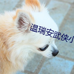 温瑞安武侠小说全集 （鳗鲡）
