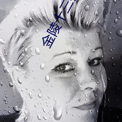 金陵十三钗小说