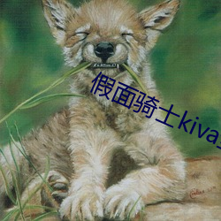 假(jiǎ)面骑士kiva全(quán)集(jí)