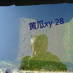 黄瓜xy 28