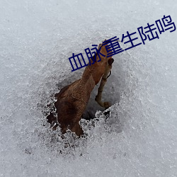 血脉重生陆鸣 （东徙西迁）