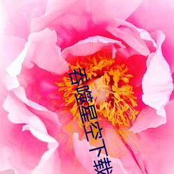 金年会 | 诚信至上金字招牌