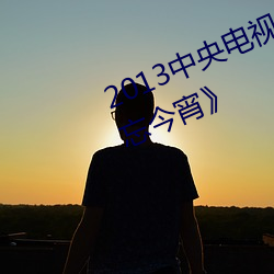 2013中央电视台(台)春节联(聯)欢晚(晚)会《难忘(忘)今宵》