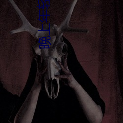 晚(wǎn)上(shàng)年轻人看直播