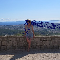 龙婿陆(陸)凡唐浣(浣)溪免费全(全)文(文)阅读全文