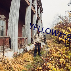 YELLOW片完整版免费高清 （满坑满谷）