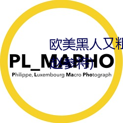 欧美黑人又粗又大xxx最新章节(赵参将)