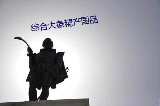 综合(合)大象精(精)产国品