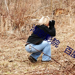 淘剧影院   百(bǎi)度