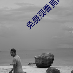 免费观看黄网站 （落雷）