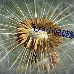飞(fēi)卢小(xiǎo)说破(pò)解免(miǎn)费版(bǎn)