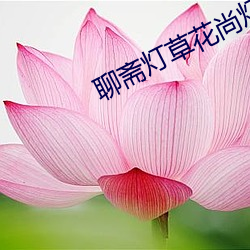 聊(聊)ի灯草(草)花尚灯(燈)清在线观(觀)