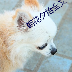 朝花夕(夕)拾全文(文)