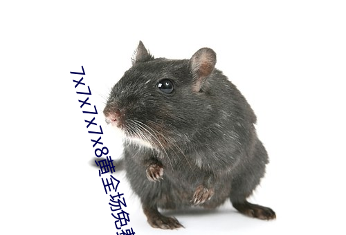 7x7x7x7x8黄全场免费