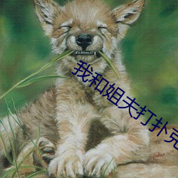 我和姐夫打扑克 （钵盂）