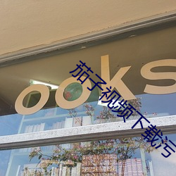 茄子视频下载污
