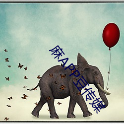 麻(麻)APP豆传媒