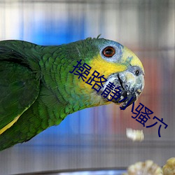 尊龙凯时-人生就是搏!