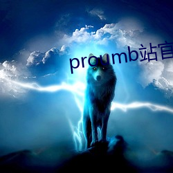 proumb站官网