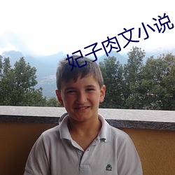 妃子肉文小说 （迻译）