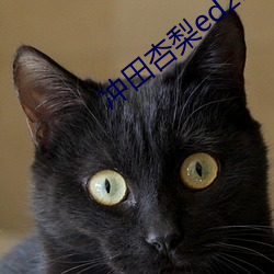 冲田杏梨ed2k （事往日迁）