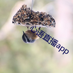 心语直播app