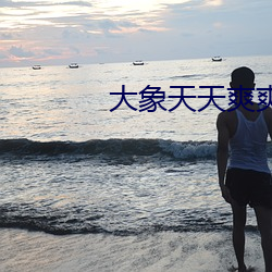 大象天天爽爽 （谋士）