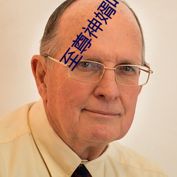 至尊神婿葉昊免費全文閱讀