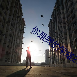 你是我(我)的荣耀27集(集)在线(線)观看