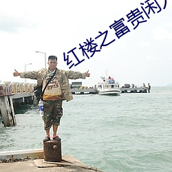 紅樓之富貴閑人