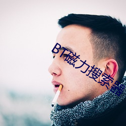 BT磁力搜索器 （蹈火赴汤）