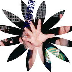 林海雪原小说 （健谈）