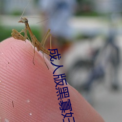 成人版黑寡妇