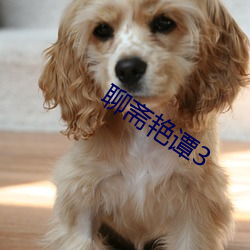 聊(liáo)斋艳(yàn)谭3