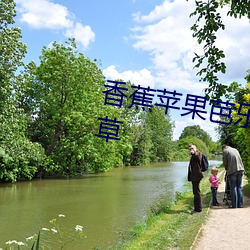 香蕉苹果芭乐绿巨人下载十八青青草