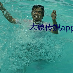 大象传媒app免费下载安装 （风飧水宿）