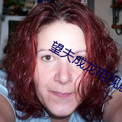 望夫成龙电(diàn)视剧