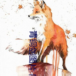 銅劍圖片 同心圓