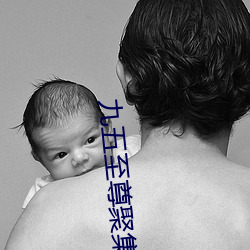 九五至尊聚集全網最齊全