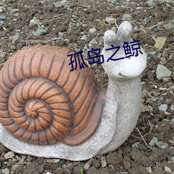 孤岛(dǎo)之鲸