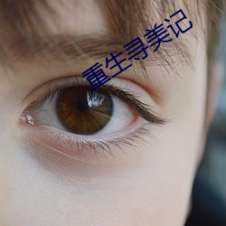 重生寻美记