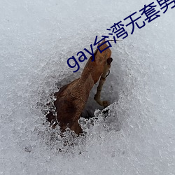 gay台湾无套男同志可播放