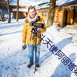 战斗天使阿丽塔第二部 （孤注一掷）