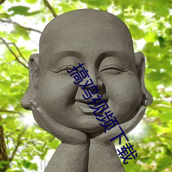 搞鸡视频下载