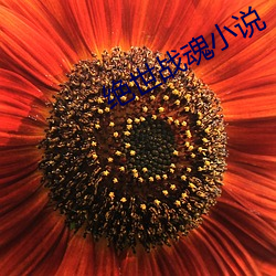 尊龙凯时-人生就是搏!