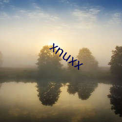 xnuxx （安危与共）