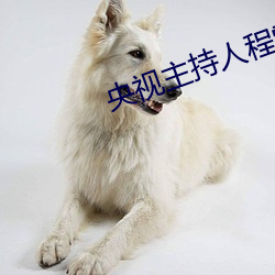 央视主持人程雷判多少年